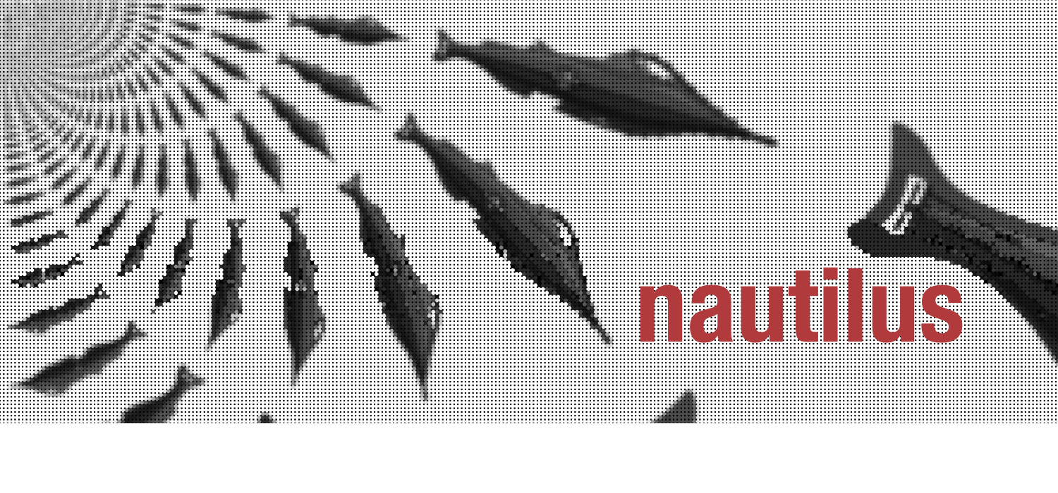Nautilus Aerokernel Logo